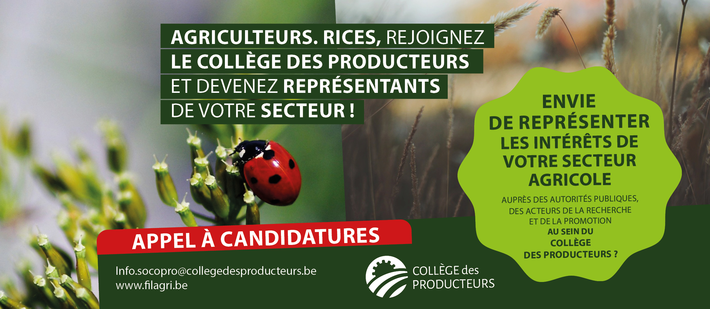 [Elections au Collège des Producteurs] Appel aux producteurs bios : représentez votre secteur au sein du Collège des Producteurs !