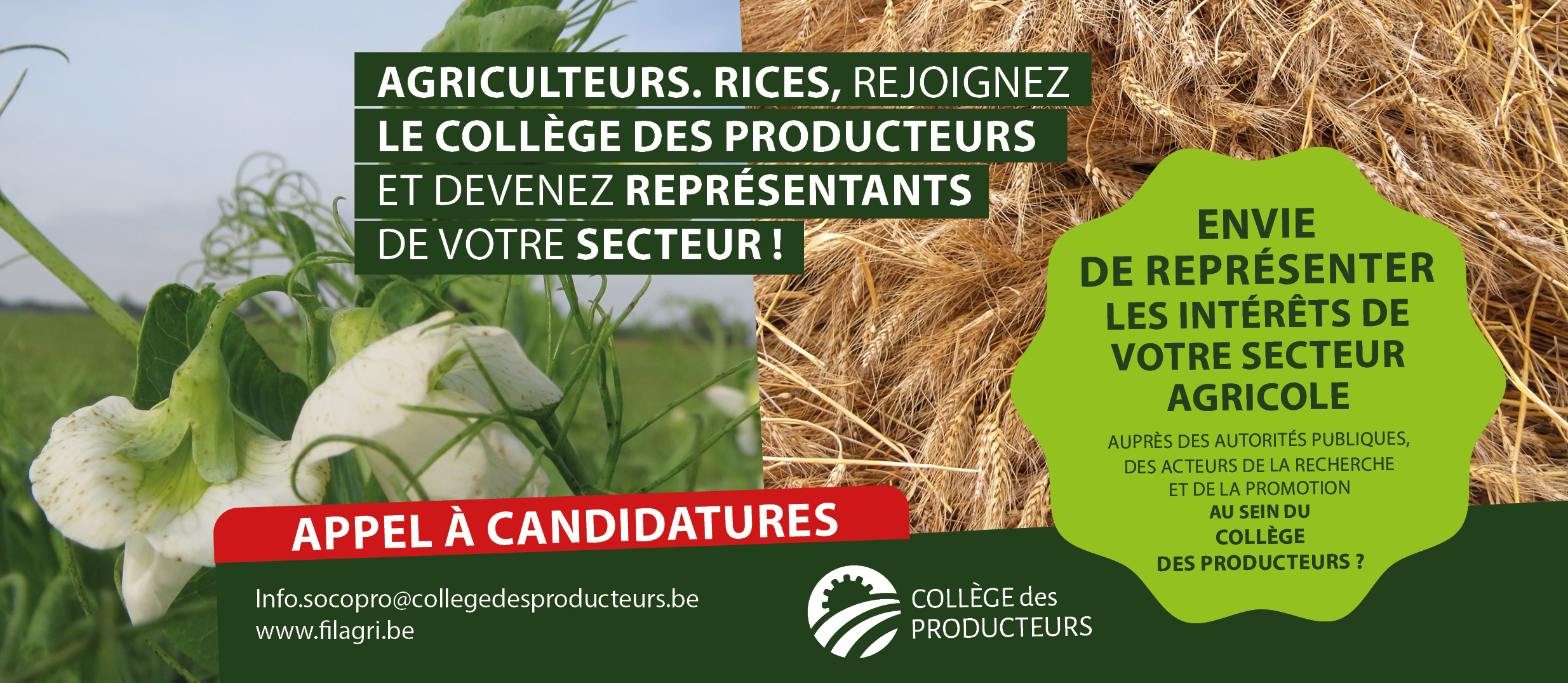 [Elections au Collège des Producteurs] Appel aux producteurs Grandes cultures : représentez votre secteur au sein du Collège des Producteurs !