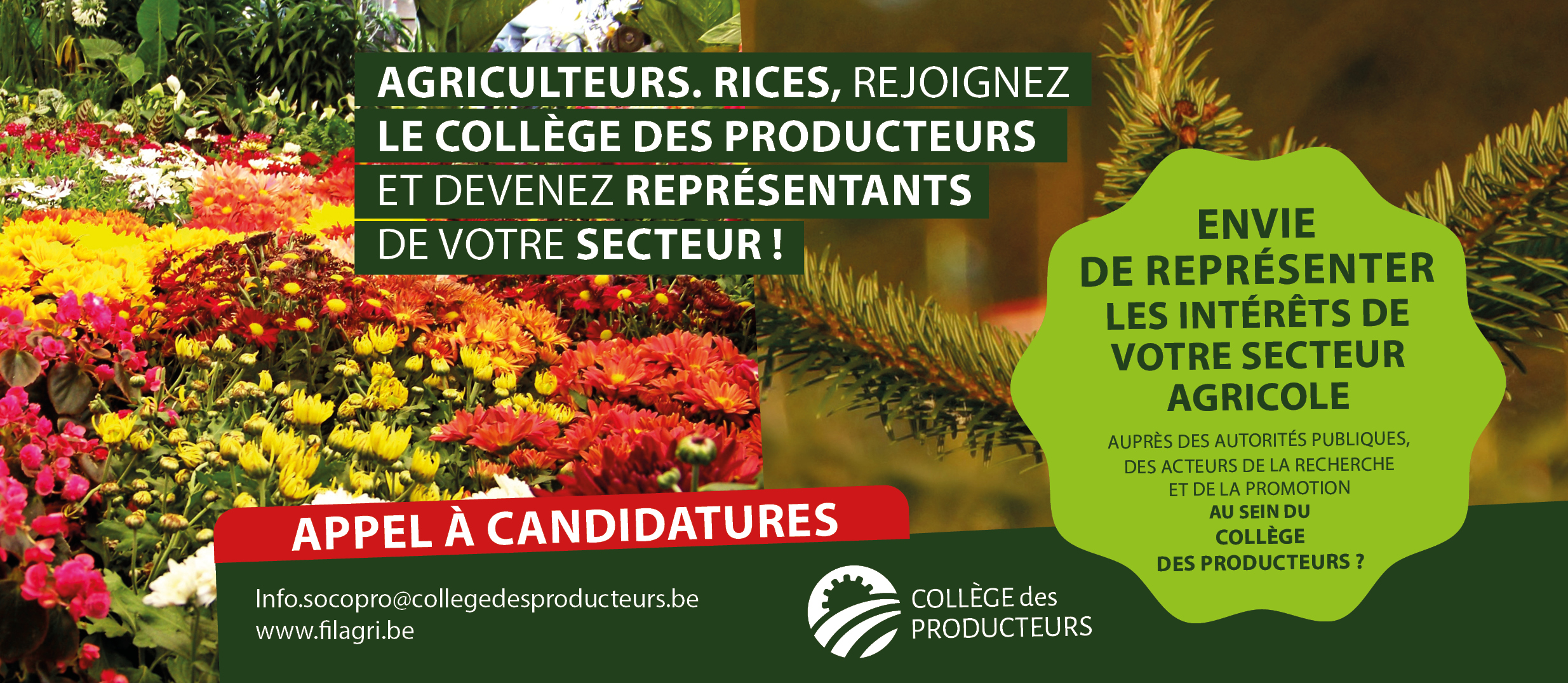 [Elections au Collège des Producteurs] Appel aux producteurs en Horticulture Ornementale : représentez votre secteur au sein du Collège des Producteurs !
