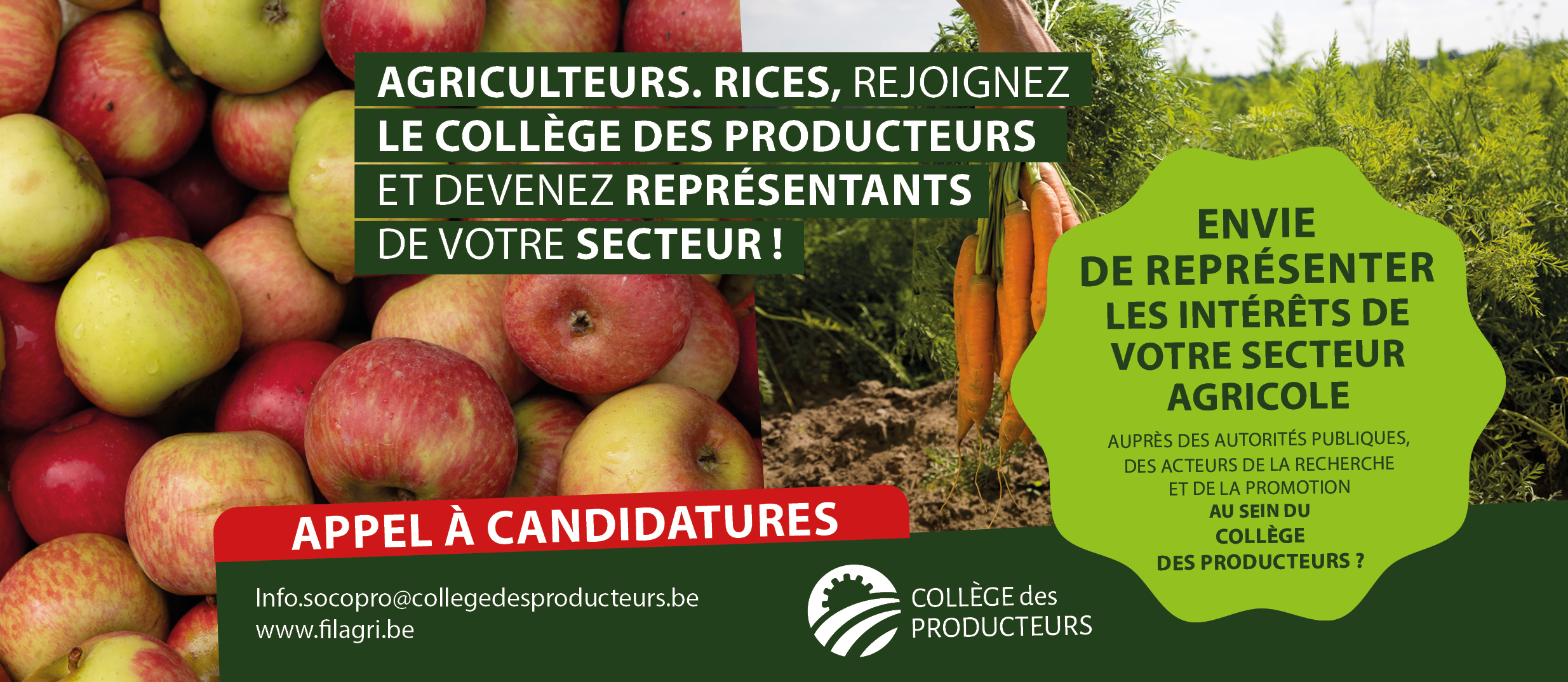 [Elections au Collège des Producteurs] Appel aux producteurs en horticulture comestible : représentez votre secteur au sein du Collège des Producteurs !
