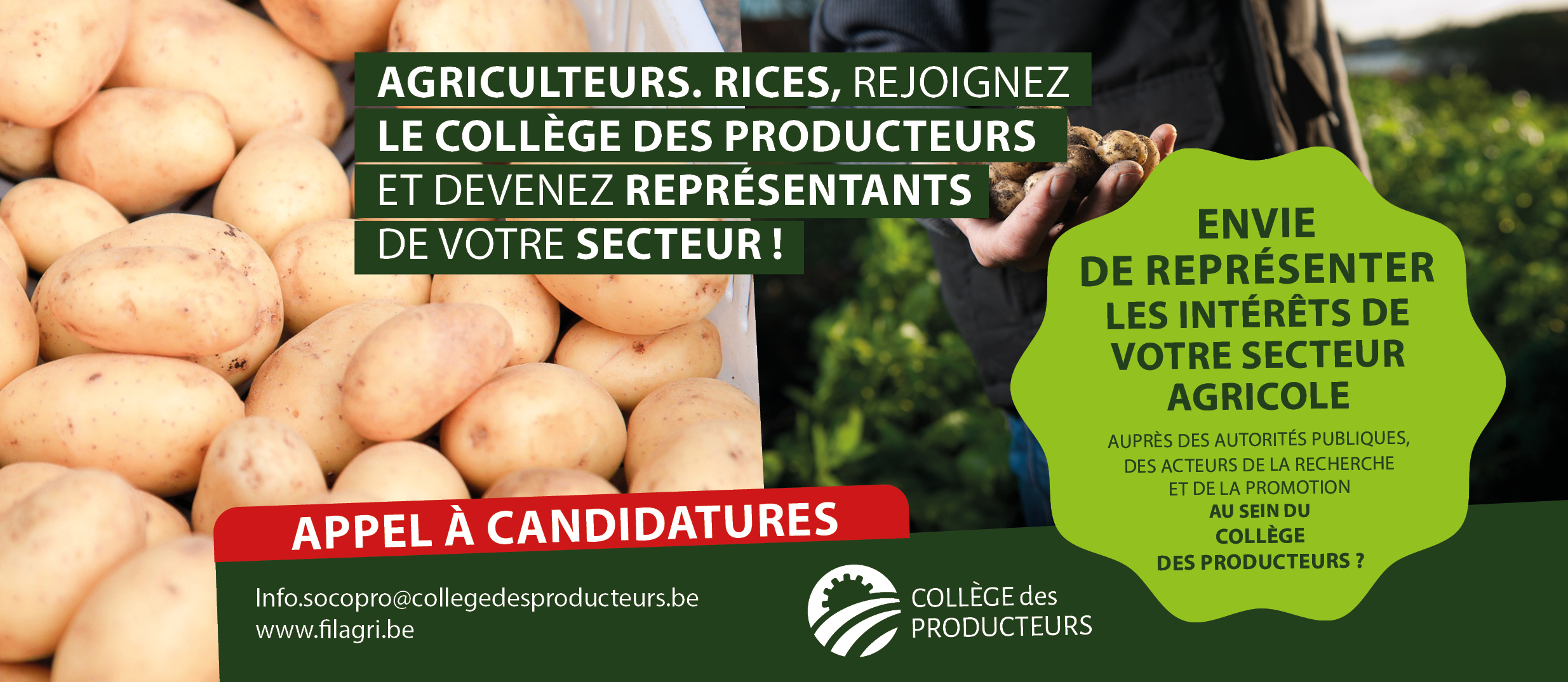 Elections au Collège des Producteurs] Appel aux producteurs pommes de terre : représentez votre secteur au sein du Collège des Producteurs !