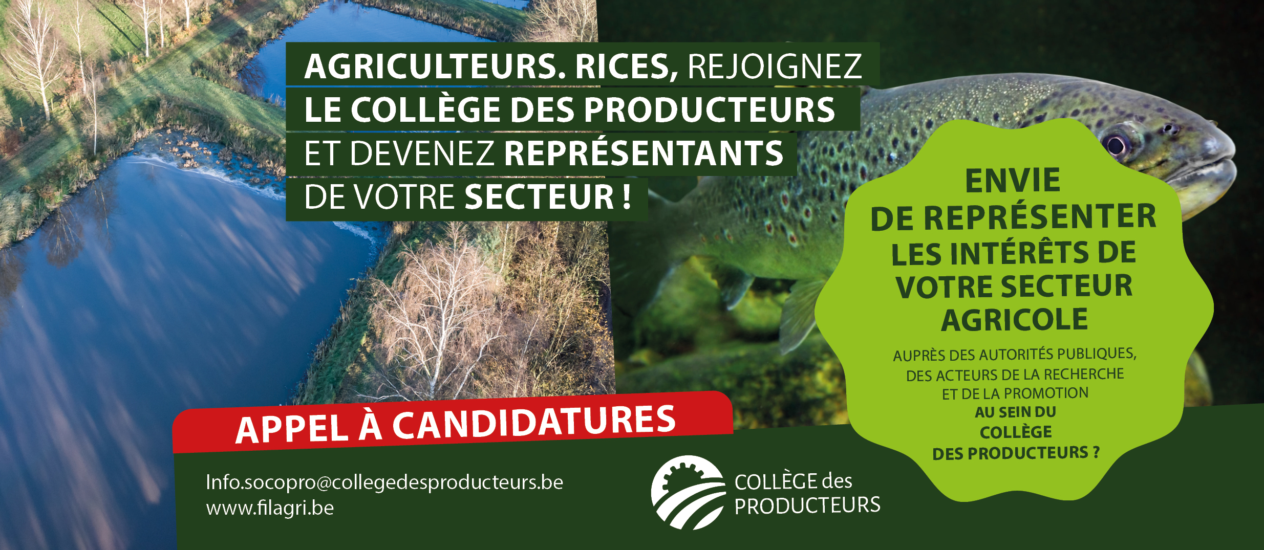 [Elections au Collège des Producteurs] Appel aux producteurs aquacoles : représentez votre secteur au sein du Collège des Producteurs !
