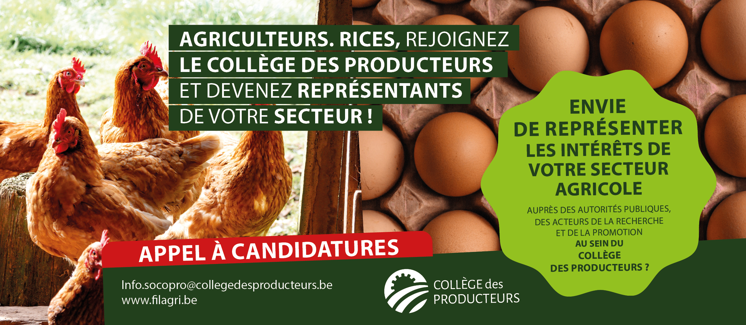 [Elections au Collège des Producteurs] Appel aux producteurs avicoles et cunicoles : représentez votre secteur au sein du Collège des Producteurs !