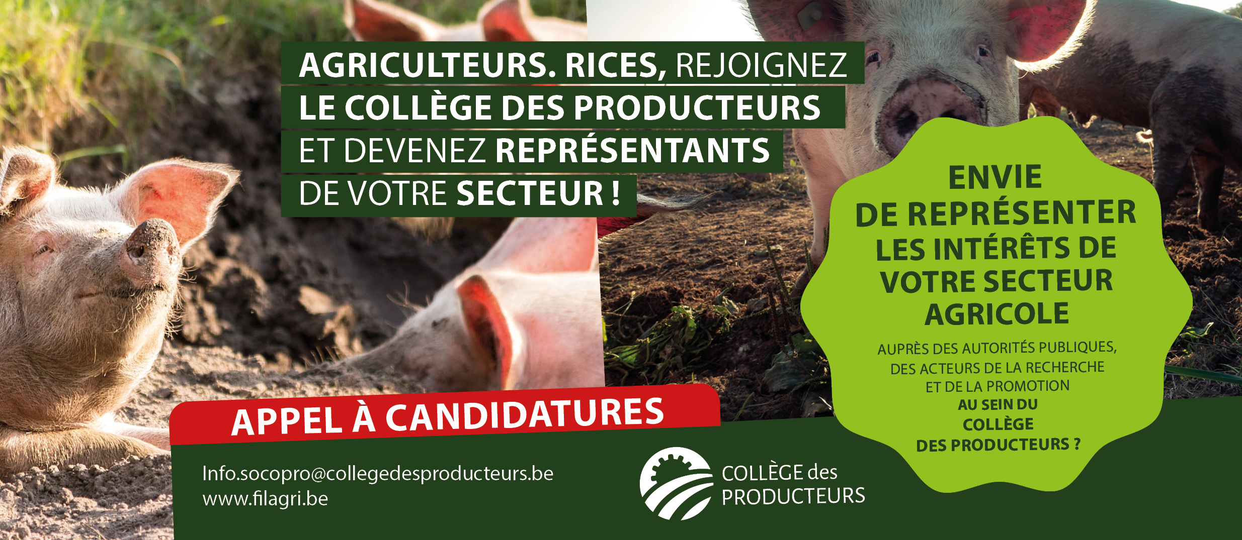 [Elections au Collège des Producteurs] Appel aux producteurs du secteur Porc : représentez votre secteur au sein du Collège des Producteurs !