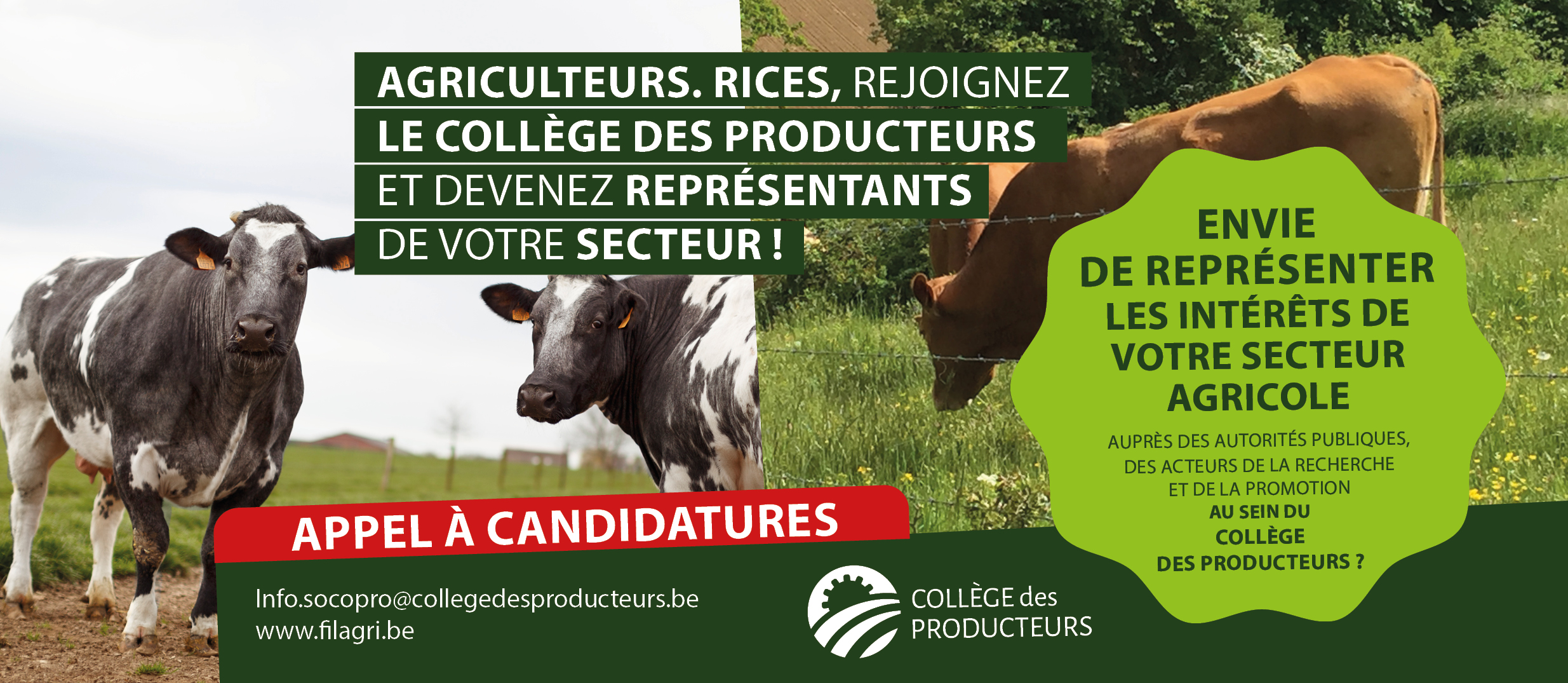 [Elections au Collège des Producteurs] Appel aux producteurs viandeux : représentez votre secteur au sein du Collège des Producteurs !