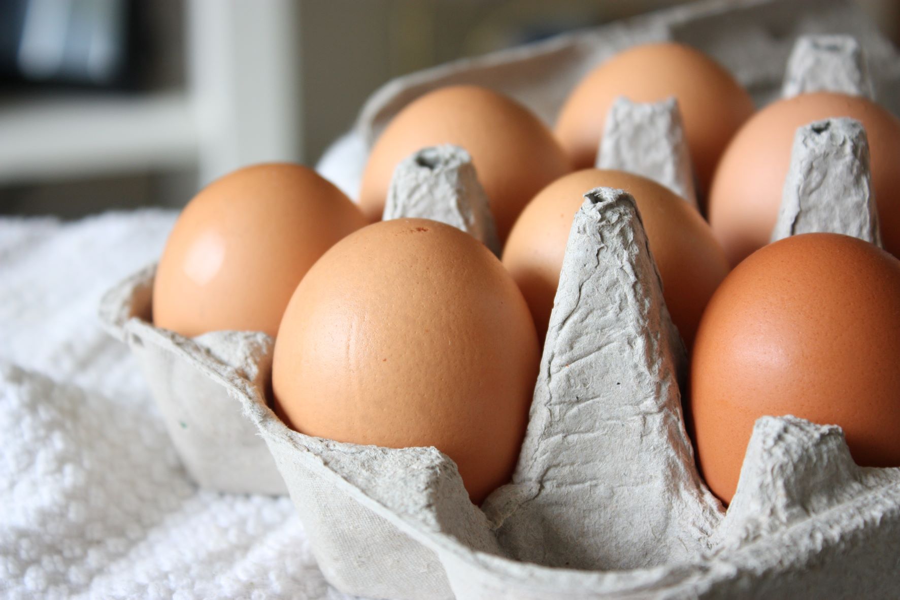 Consommation : Les ventes d’œufs en hausse