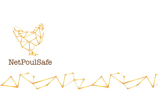NetPoulSafe, la nouvelle plateforme européenne de connaissances pour aider les professionnels de l’aviculture