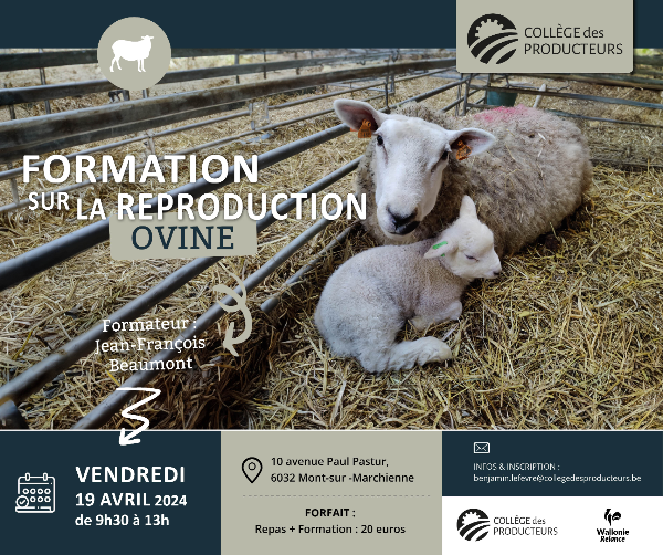 [Formation] 19 Avril – Formation exclusive sur la reproduction ovine
