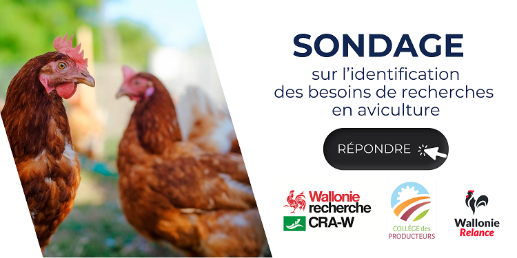 Sondage sur l’identification des besoins de recherches en aviculture