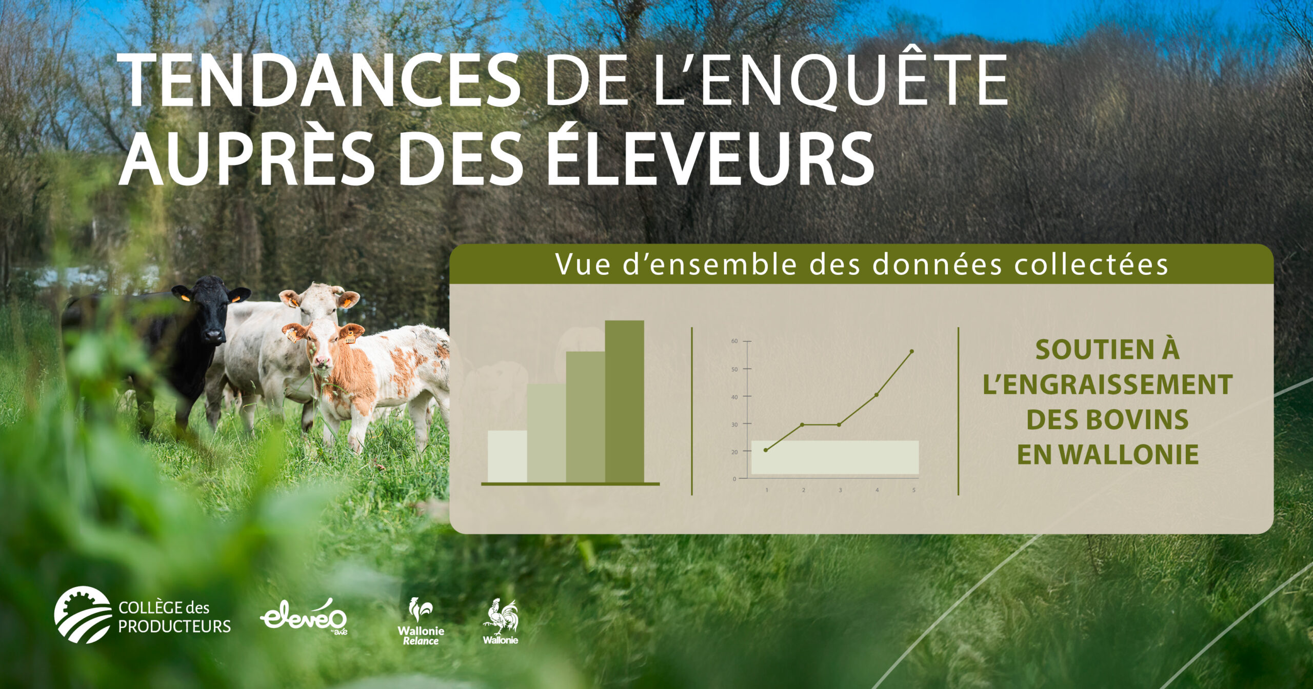 [Soutien à l’engraissement des bovins en Wallonie]  Tendances de l’enquête auprès des éleveurs