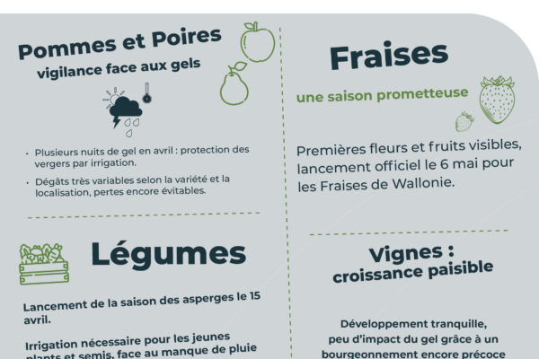 Observatoire_RS_avril_parution avril_10