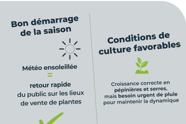 Observatoire_RS_avril_parution avril_11