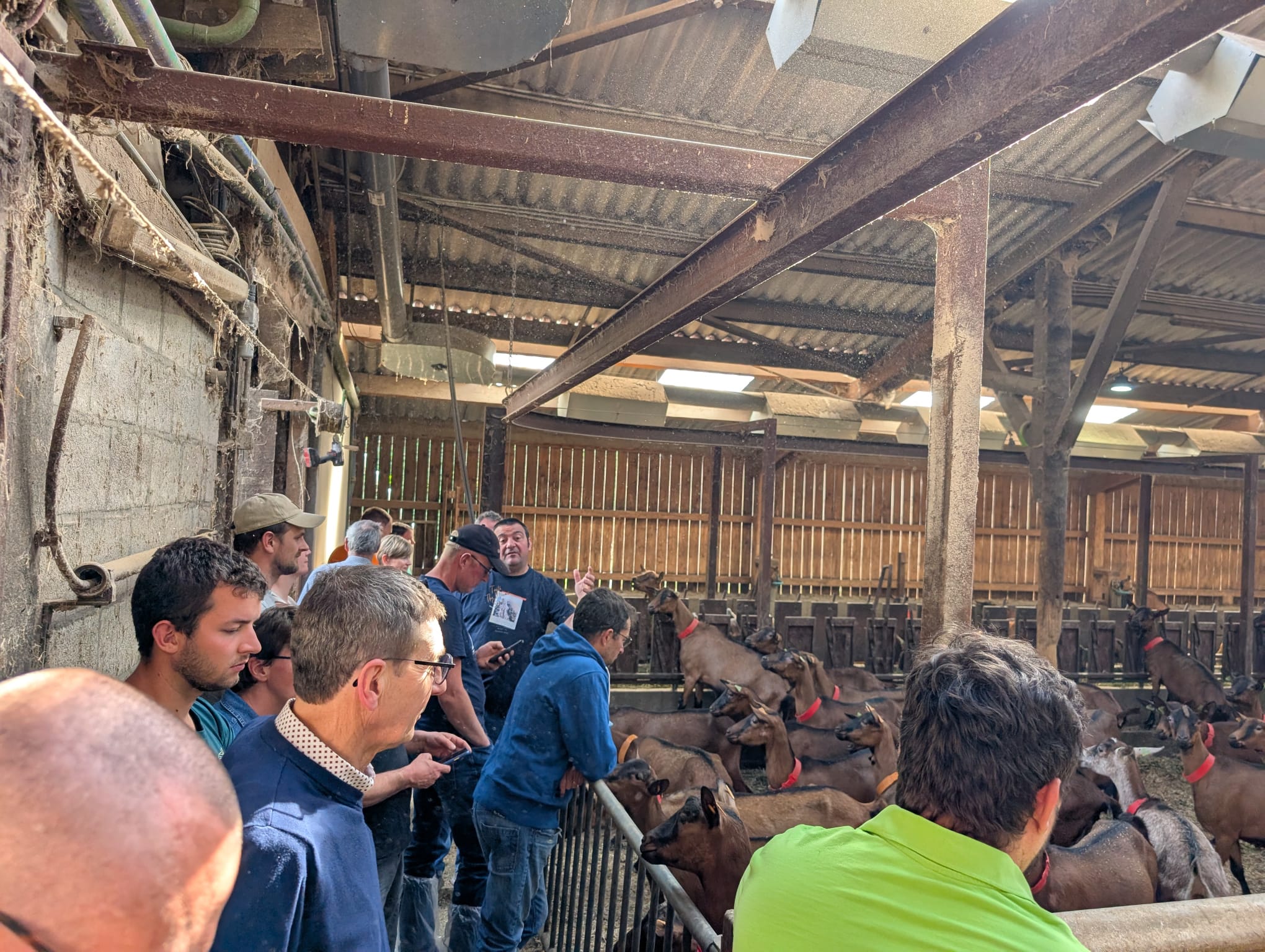 Visite de la chèvrerie de Marc Vanguestaine et Assemblée sectorielle ovins-caprins