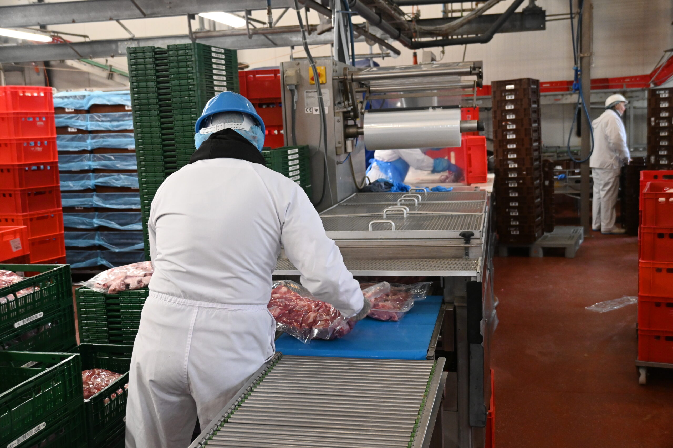 Visite de l’abattoir Lovenfosse : au plus près de la filière porcine