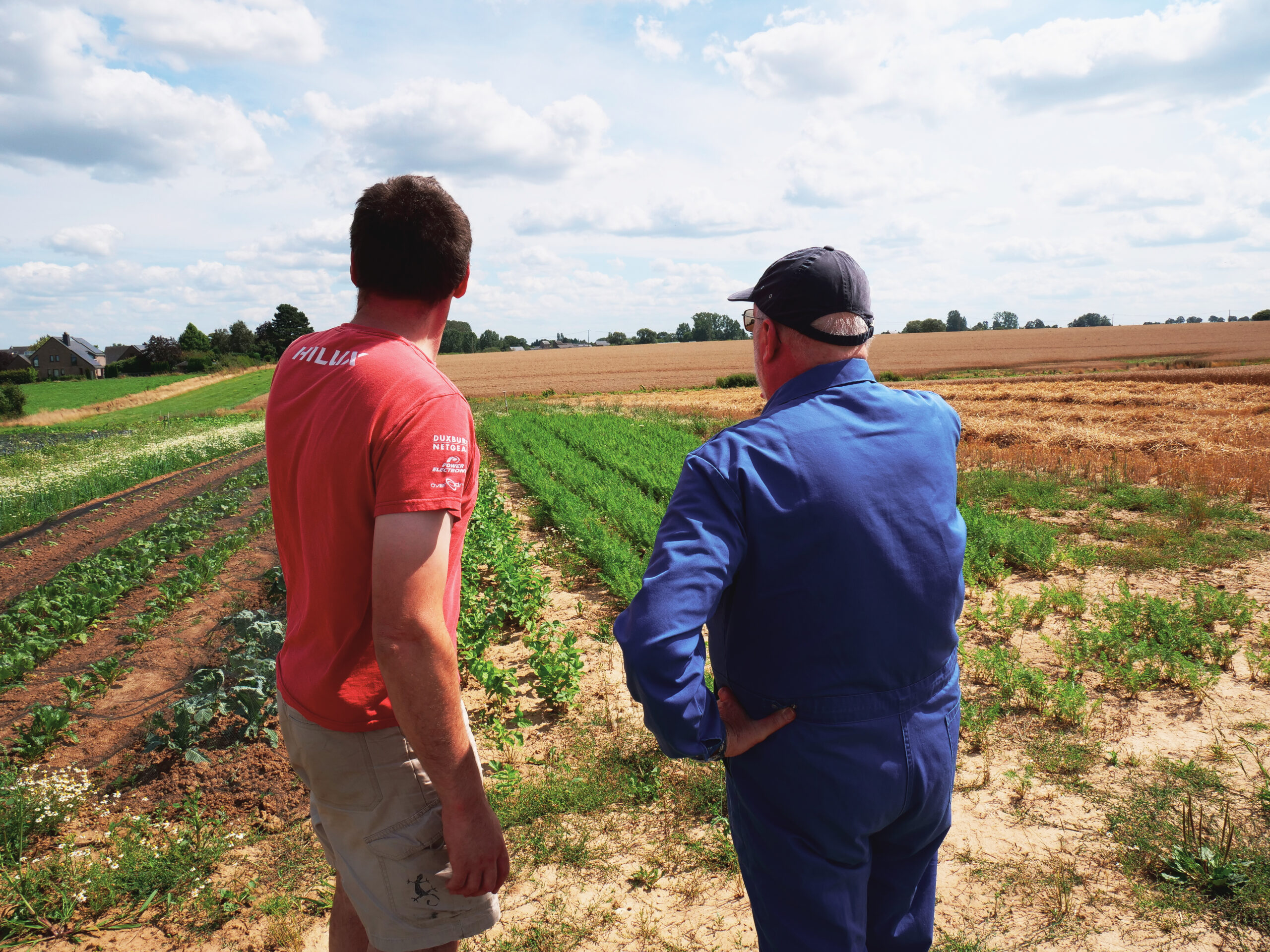 Etat d’avancement des travaux pour les filières grandes cultures