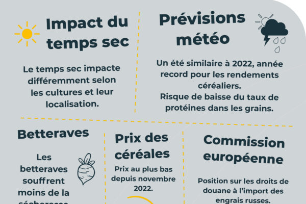 Observatoire_RS_parution mai_03