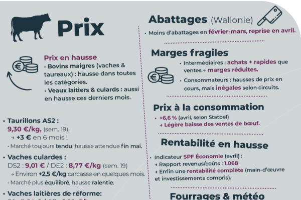 Observatoire_RS_parution mai_06