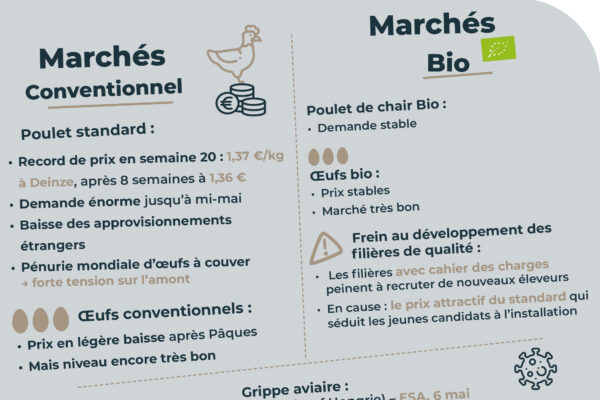 Observatoire_RS_parution mai_07