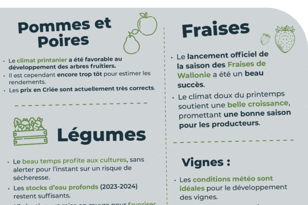 Observatoire_RS_parution mai_10