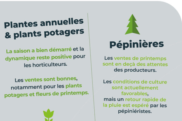 Observatoire_RS_parution mai_11