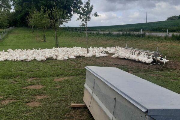Tournage_eurofoiegras_mai2025_Sauveniere