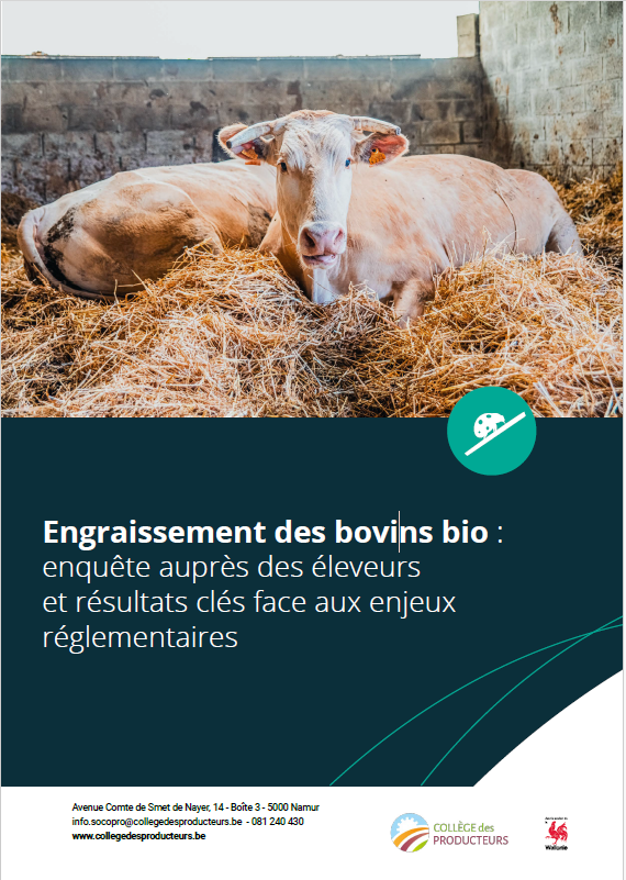 Engraissement des bovins bio : enquête auprès des éleveurs et résultats clés face aux enjeux réglementaires