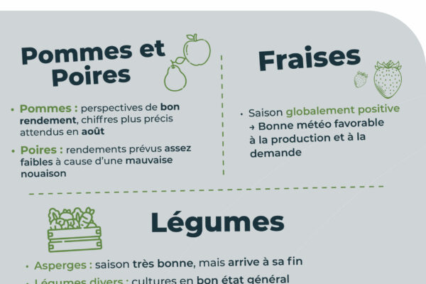 Observatoire_RS_parutionjuin.pdf10