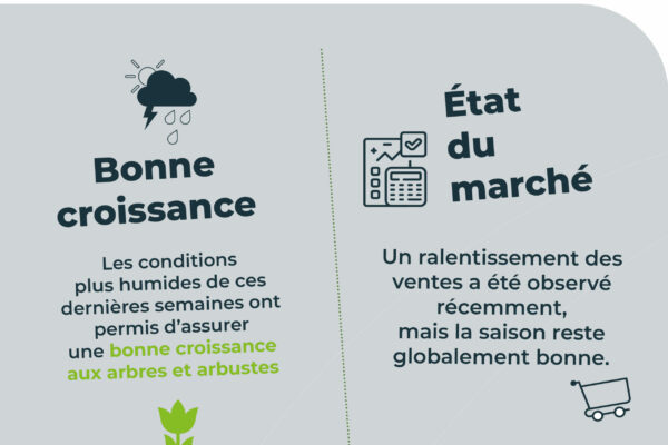 Observatoire_RS_parutionjuin.pdf11
