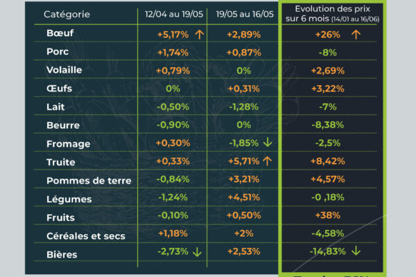 Observatoire_RS_parutionjuin.pdf2
