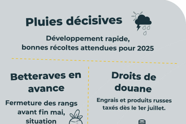 Observatoire_RS_parutionjuin.pdf3