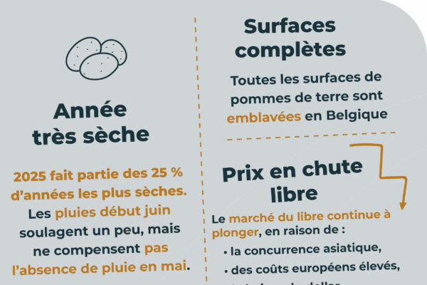 Observatoire_RS_parutionjuin.pdf4