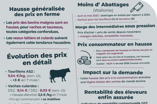 Observatoire_RS_parutionjuin.pdf6