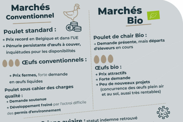 Observatoire_RS_parutionjuin.pdf7