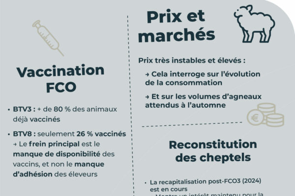 Observatoire_RS_parutionjuin.pdf9
