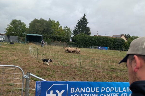 Marque des ayourth SOIGNON_1