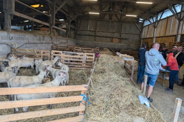 Visite 1 _Normandie_1