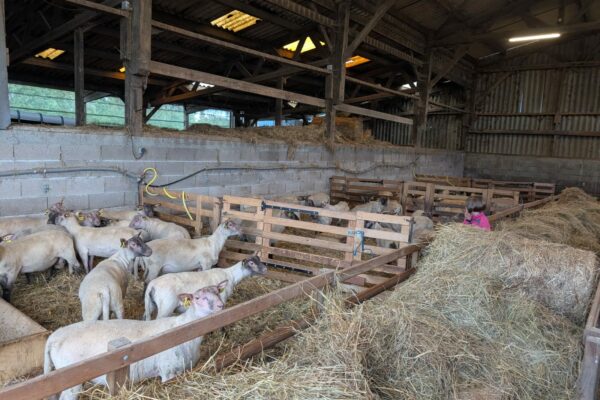 Visite 1 _Normandie_2
