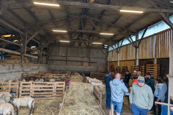 Visite 1 _Normandie_3