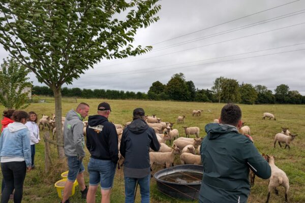Visite 1 _Normandie_4