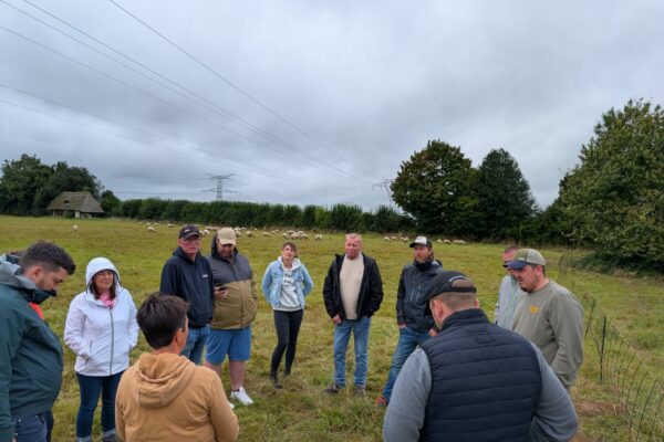 Visite 1 _Normandie_5