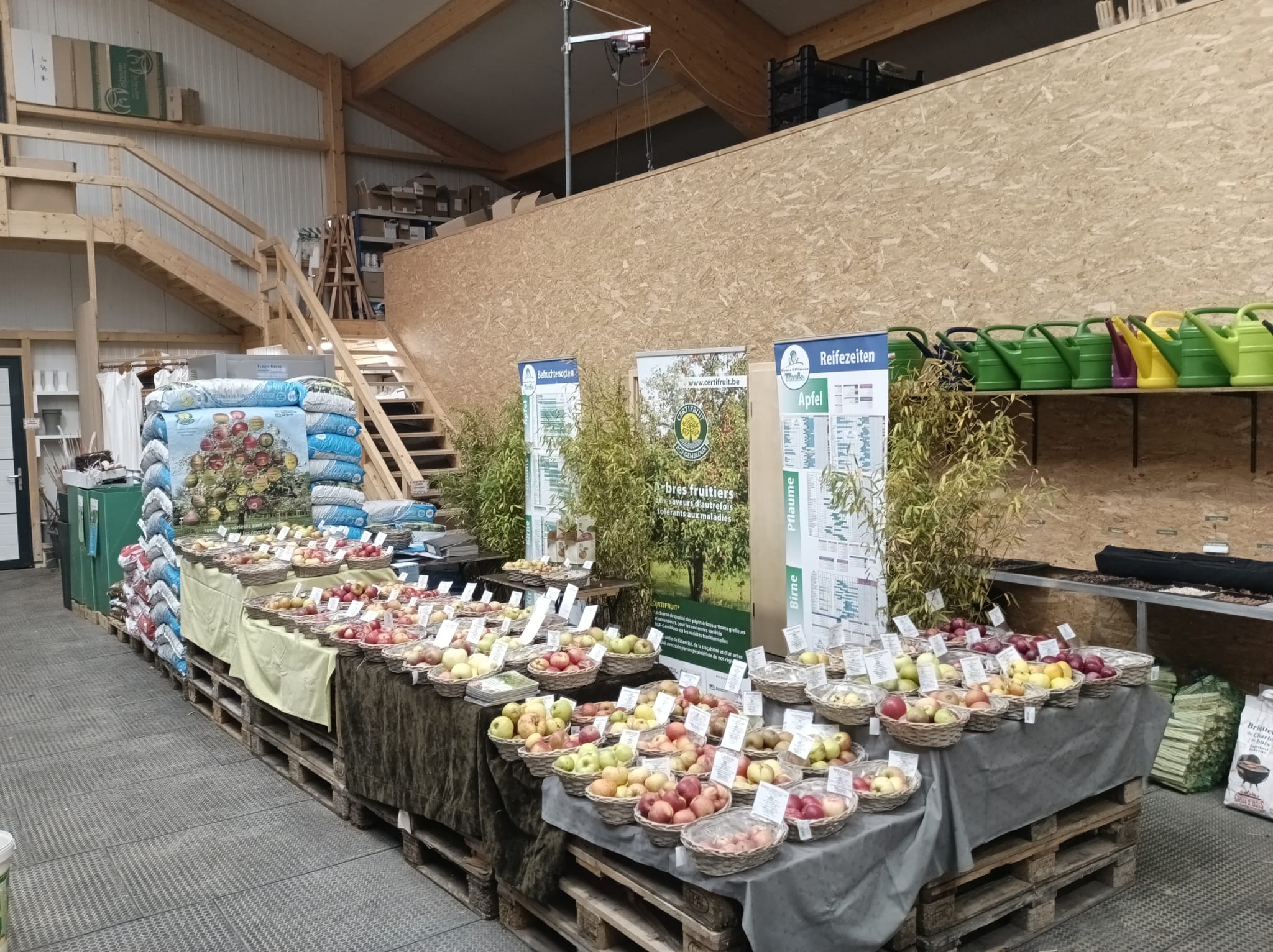 Filière ornementale : en pleine saison automnale