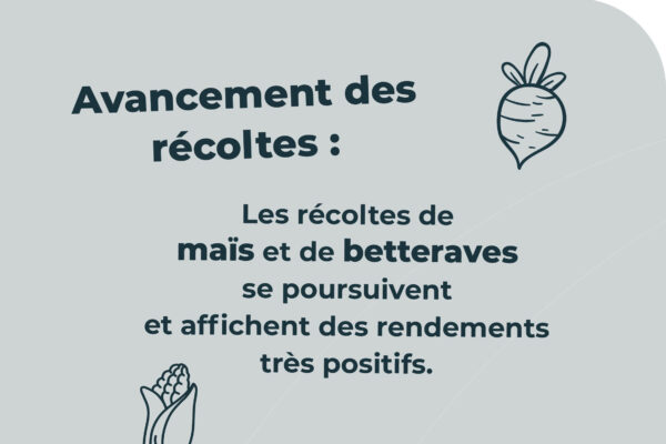 observatoire des prix octobre3