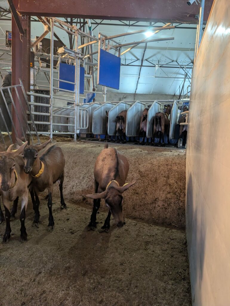 J1_230937bc-18aa-45a7-9a56-f6881f20ea12