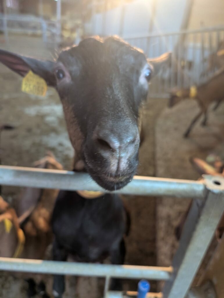 J1_a0b0b122-2047-494a-8cf4-aad213daa104