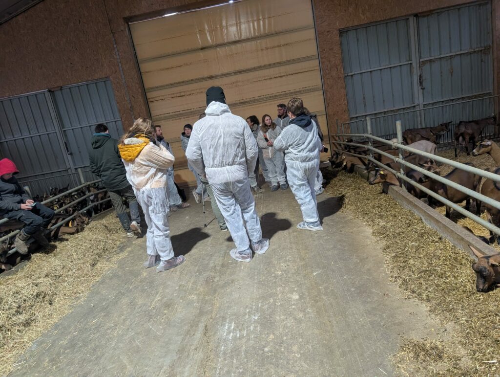 J1_a3159ea4-7997-48e7-9a95-79365891bdbb