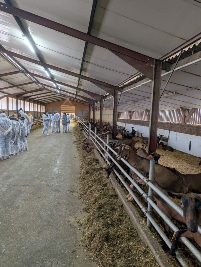 J1_cccab477-2441-4034-9952-8e6e43e42838