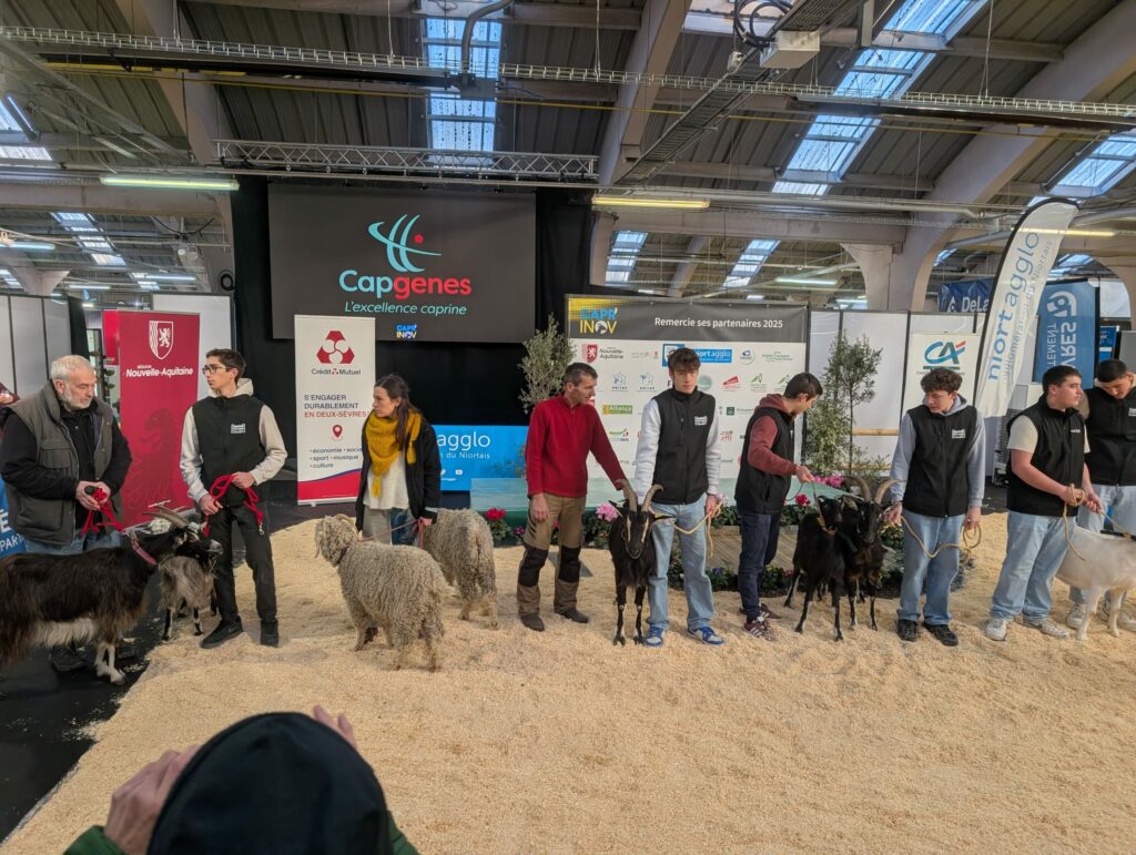 J2_725dc02a-db6e-41e8-af8a-c04fa6555c86