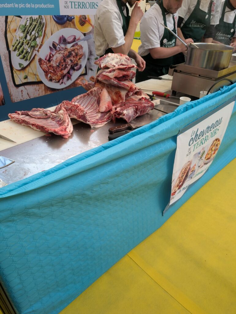 J2_9a404a30-aab3-4982-a479-fca47eb48697