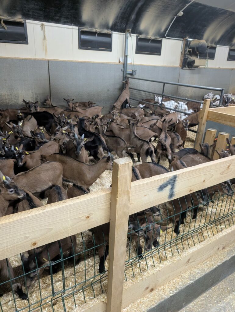 J3_3a44a68d-dc6c-4d3c-aed5-2487d2db5617