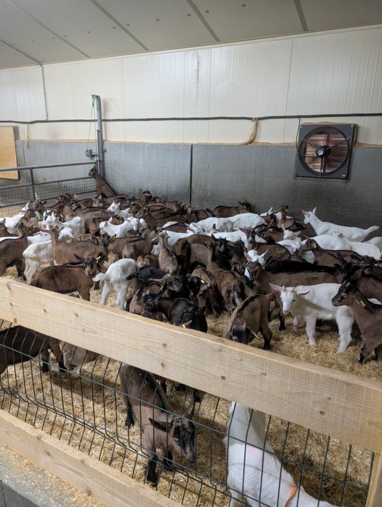 J3_b60723ca-e281-4ec0-a8d3-284afeee50b0